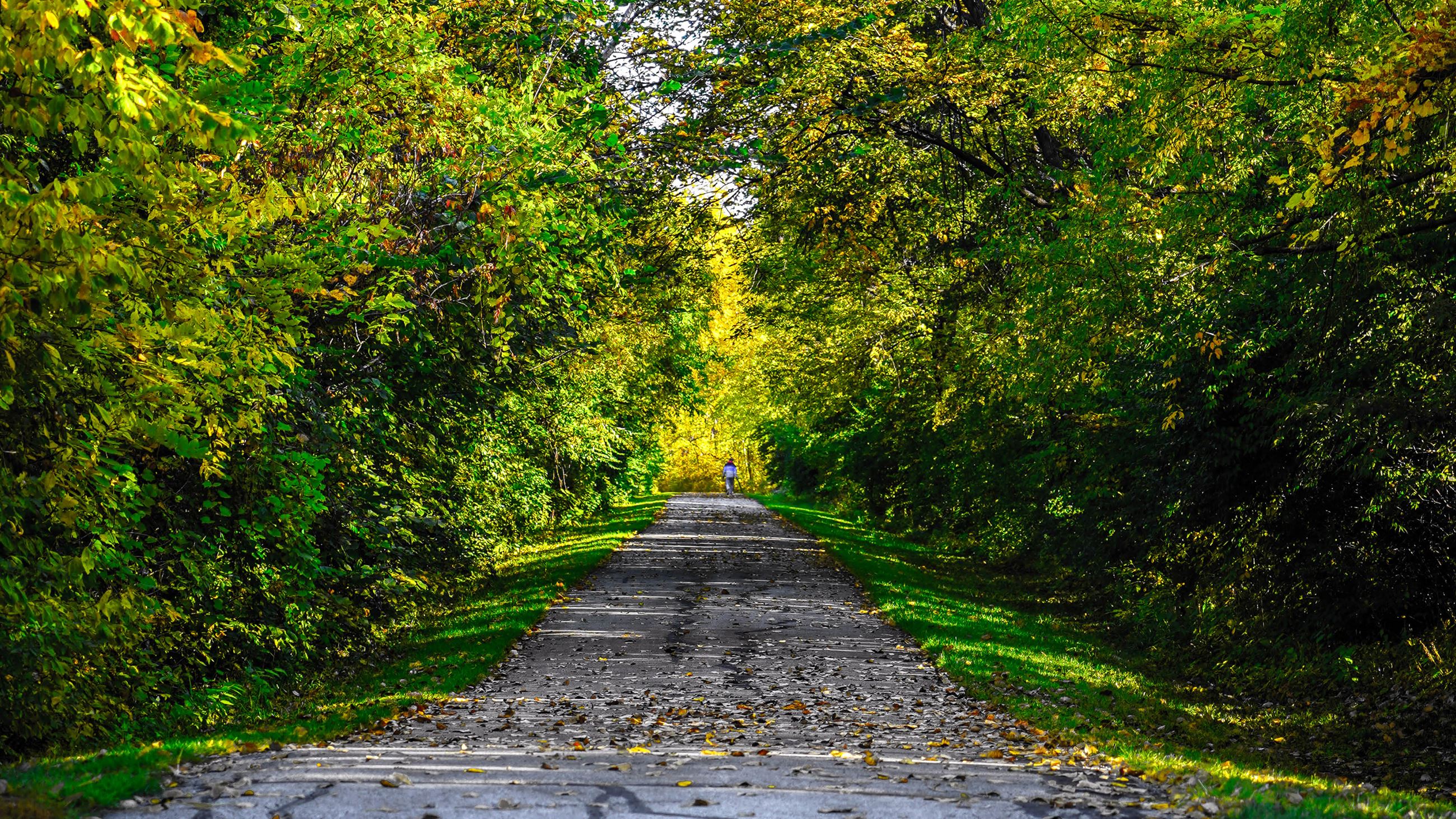 A trail user walks along the path of the McVay trail in Indianola, Iowa during the fall.