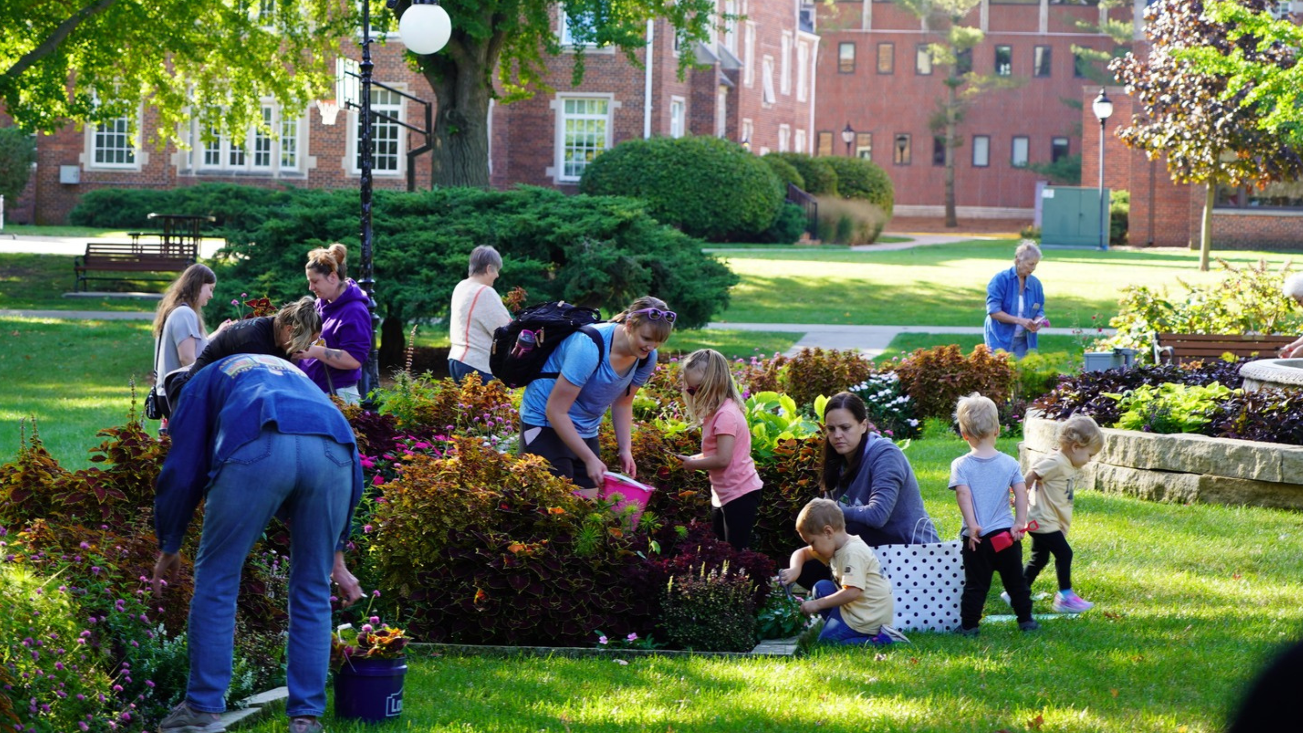 People picking flowers in a garden